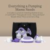 Breast Pump Lansinoh Signature Pro Portable-1